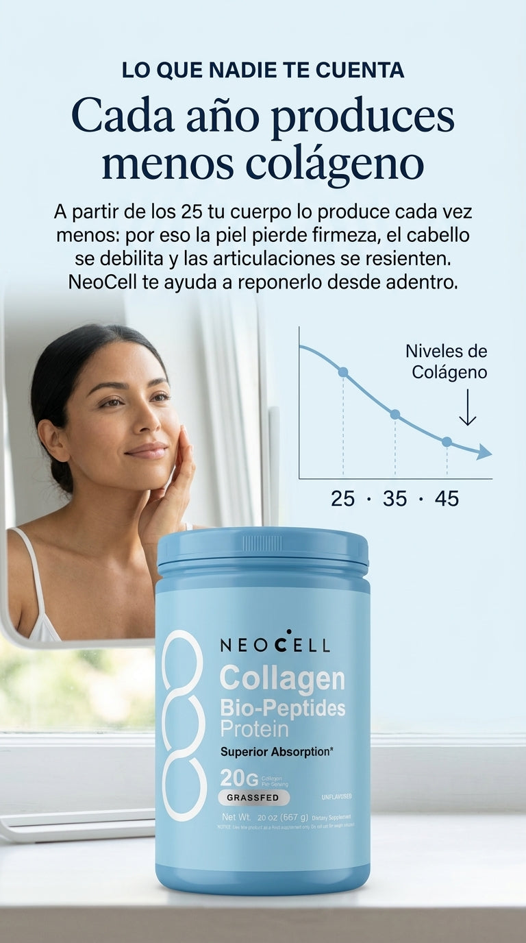 neocell_seccion_mecanismo_v1