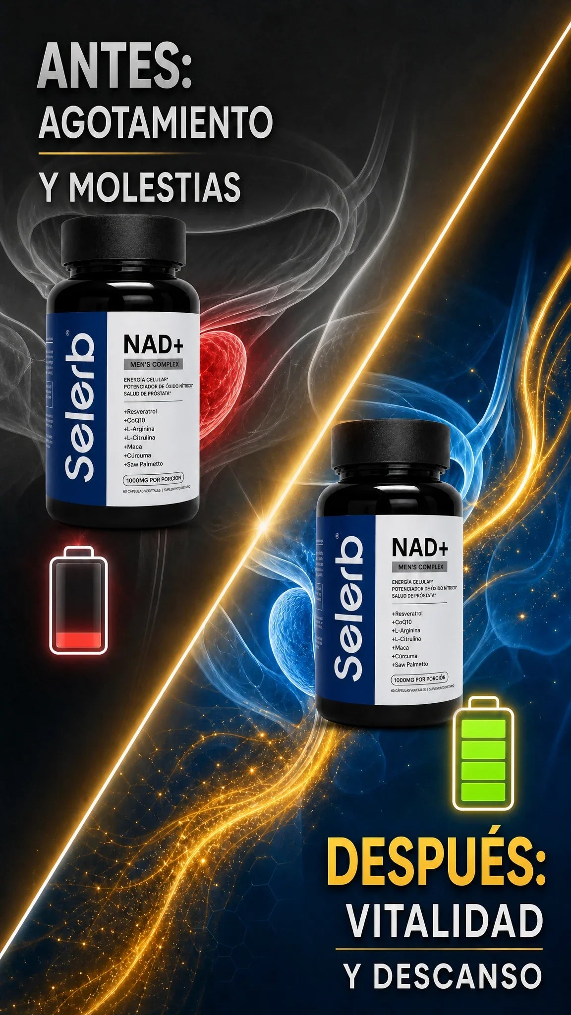 Selerb NAD transformacion
